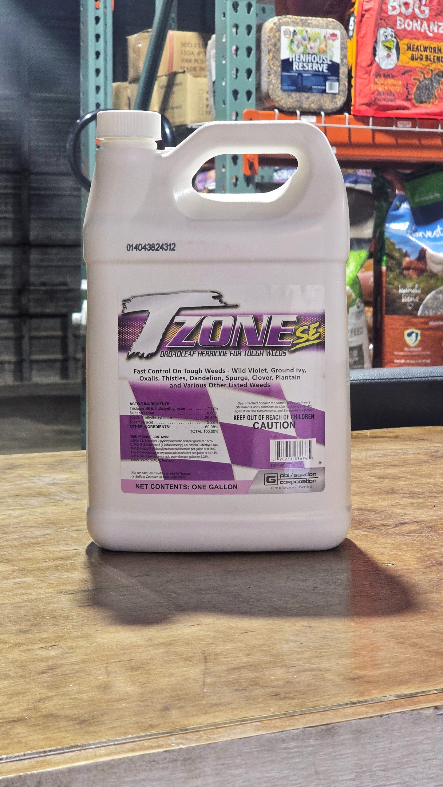 coconut palm trees for sale Coconut Palm Tree, Dwarf Malaysian Green, 6